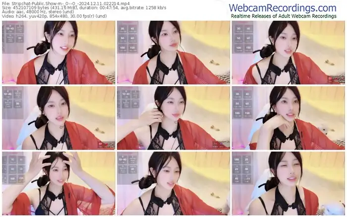 stripchat-_o--o_-12-11-2024-02-22-14