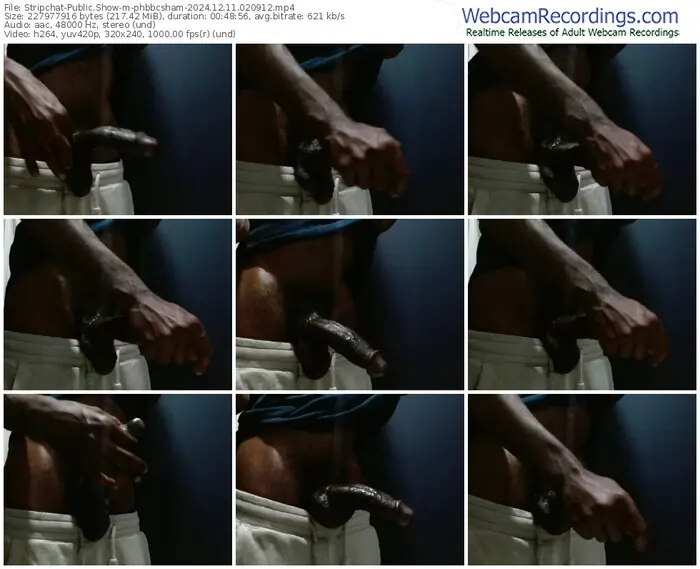 stripchat-phbbcsham-12-11-2024-02-09-12