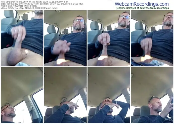 stripchat-tcb_ready-12-11-2024-18-16-07