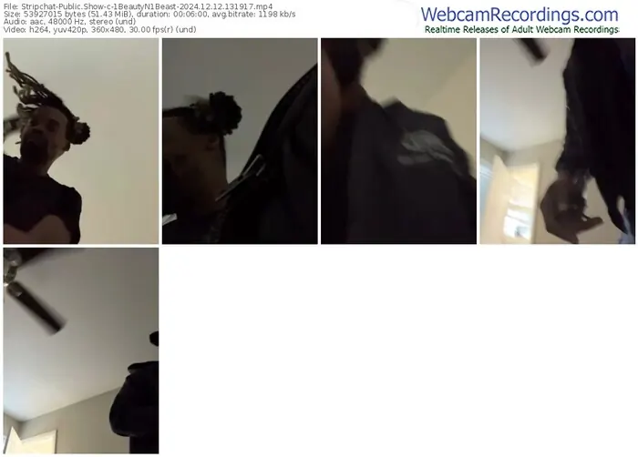 stripchat-1beautyn1beast-12-12-2024-13-19-17