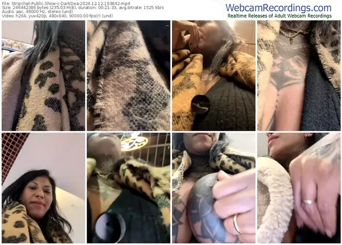 stripchat-darkdea-12-12-2024-19-38-42