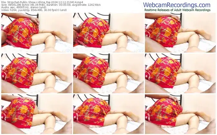 stripchat-elina_raj-12-12-2024-21-04-14