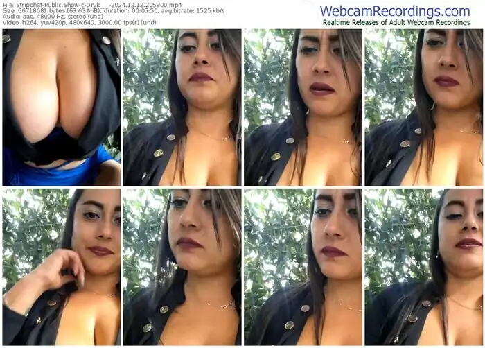 stripchat-oryk___-12-12-2024-20-59-00