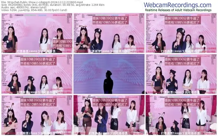 stripchat-cdqgqc6-12-12-2024-22-28-00