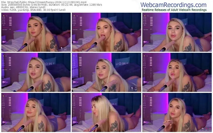 stripchat-dreampussyy-12-12-2024-08-12-41