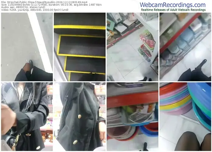stripchat-naughtypublic-12-12-2024-08-31-49
