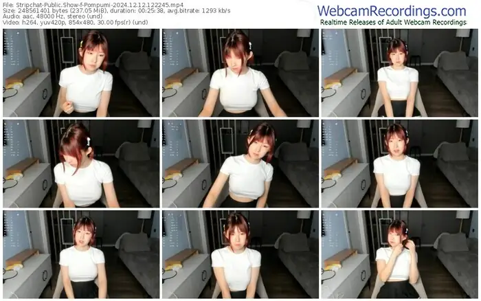 stripchat-pompumi-12-12-2024-12-22-45