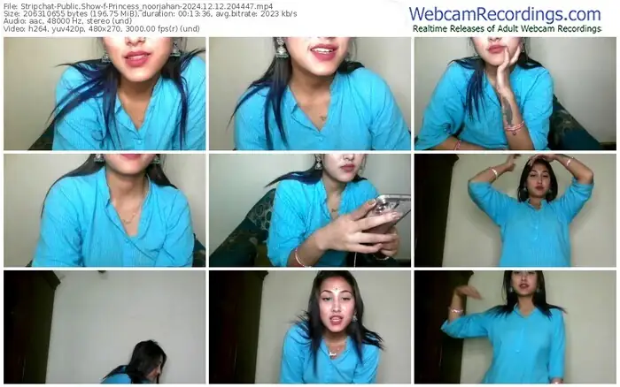 stripchat-princess_noorjahan-12-12-2024-20-44-47