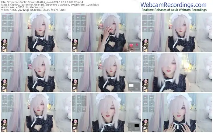 stripchat-ruirui_ovo-12-12-2024-11-08-22