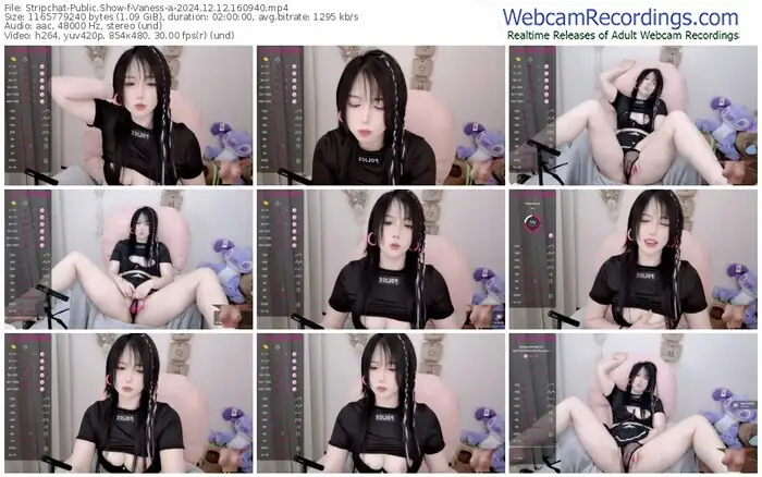 stripchat-vaness-a-12-12-2024-16-09-40
