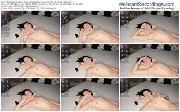 stripchat-willadunnuck-12-12-2024-21-18-00