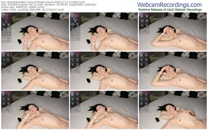 stripchat-willadunnuck-12-12-2024-21-18-00
