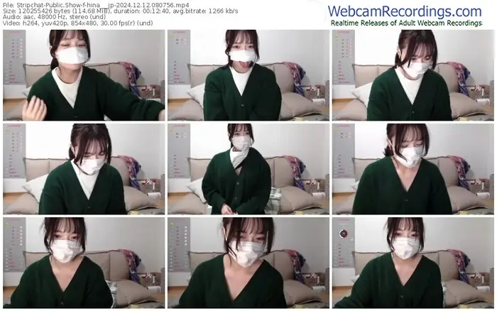 stripchat-hina___jp-12-12-2024-08-07-56