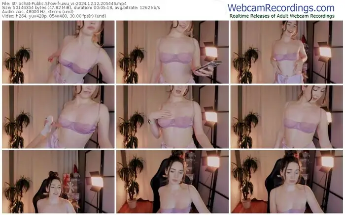 stripchat-uwu_vi-12-12-2024-20-54-46