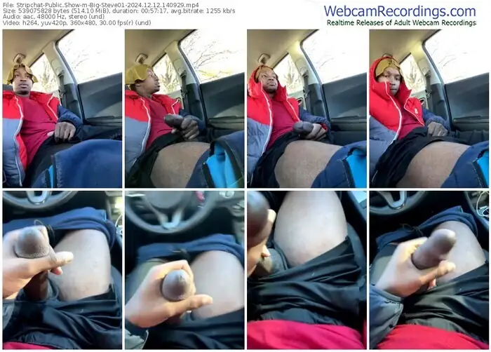 stripchat-big-steve01-12-12-2024-14-09-29