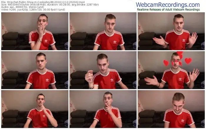 stripchat-cookieboy88-12-12-2024-20-23-42