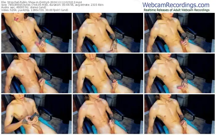 stripchat-dmtry6-12-12-2024-02-32-12