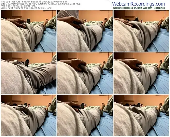 stripchat-bigoledick-12-12-2024-00-50-08