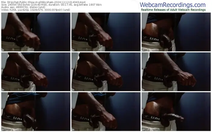 stripchat-phbbcsham-12-12-2024-01-43-43