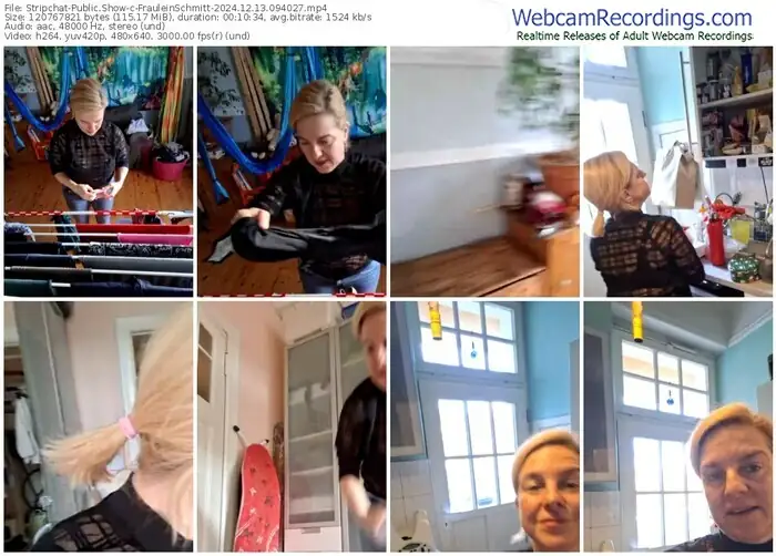 stripchat-frauleinschmitt-12-13-2024-09-40-27