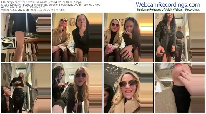 stripchat-june695_-12-13-2024-18-39-32