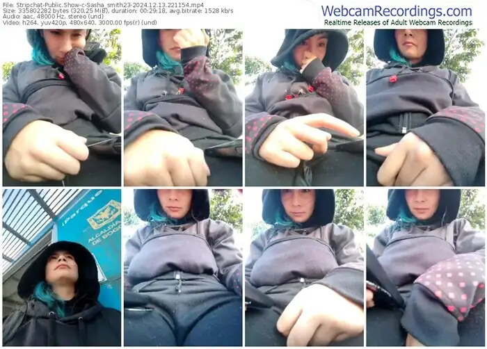 stripchat-sasha_smith23-12-13-2024-22-11-54