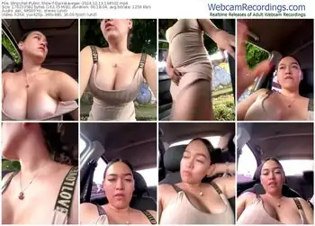 stripchat-danielavegax-12-13-2024-19-45-02