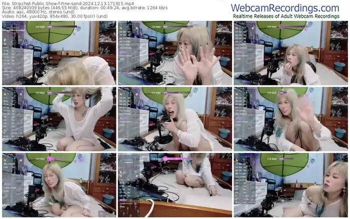 stripchat-fine-sand-12-13-2024-17-19-15