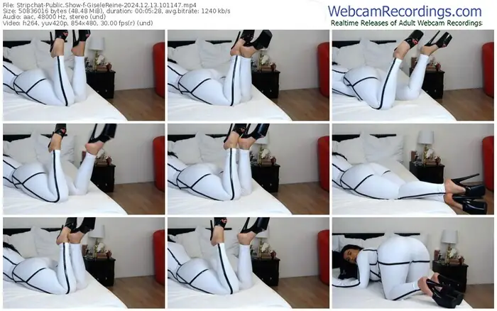 stripchat-giselereine-12-13-2024-10-11-47