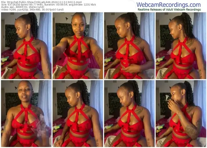 stripchat-inklady444-12-13-2024-13-41-11