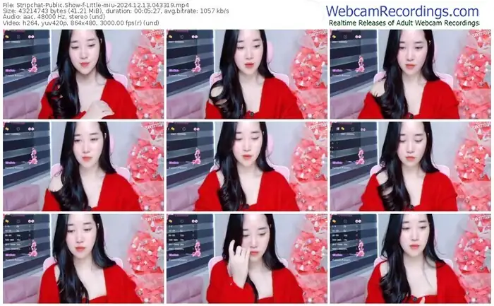 stripchat-little-miu-12-13-2024-04-33-19