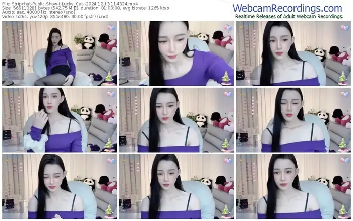 stripchat-lucky_cat--12-13-2024-11-43-24