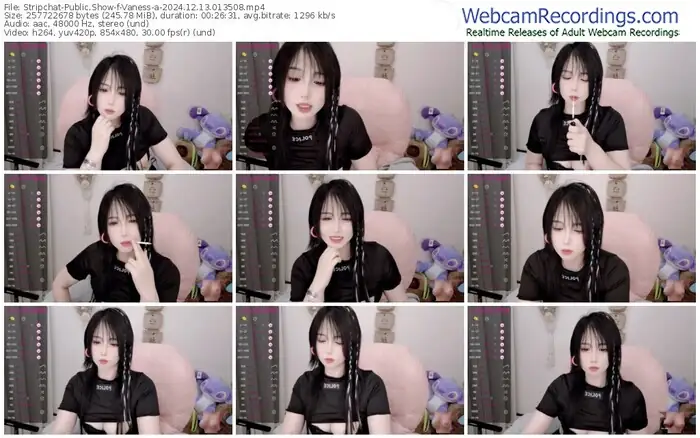 stripchat-vaness-a-12-13-2024-01-35-08