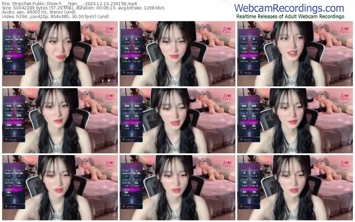 stripchat-___nari___-12-13-2024-23-41-58