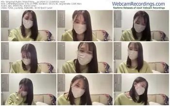 stripchat-hina___jp-12-13-2024-09-56-01