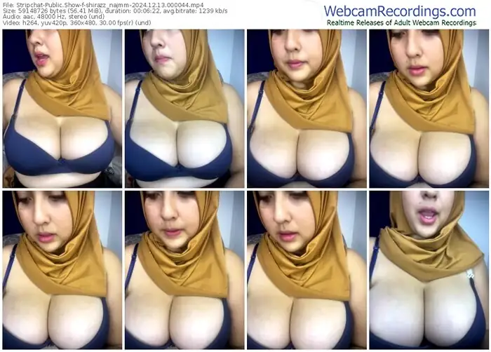 stripchat-shirazz_najmm-12-13-2024-00-00-44