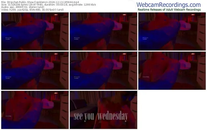 stripchat-spiklencii-12-13-2024-18-56-44