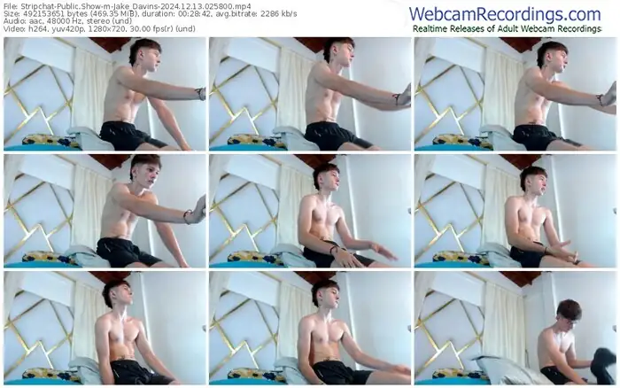 stripchat-jake_davins-12-13-2024-02-58-00