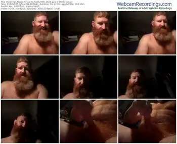 stripchat-redfurr69-12-13-2024-06-05-41