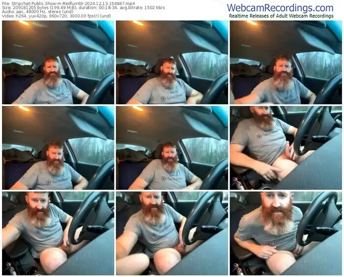 stripchat-redfurr69-12-13-2024-15-48-47