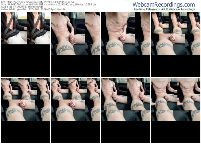 stripchat-zeefy-12-13-2024-09-45-51