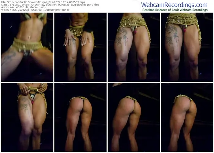 stripchat-brunna_ella-12-14-2024-03-25-53
