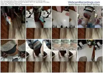 stripchat-couplle_village-12-14-2024-03-07-35