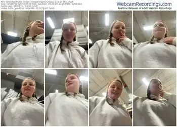 stripchat-gingersnap33-12-14-2024-21-46-31