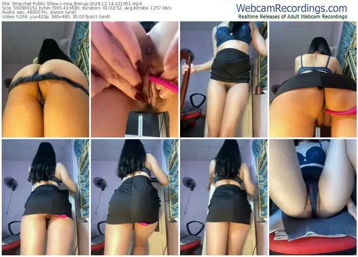 stripchat-hoa_bimup-12-14-2024-10-10-51