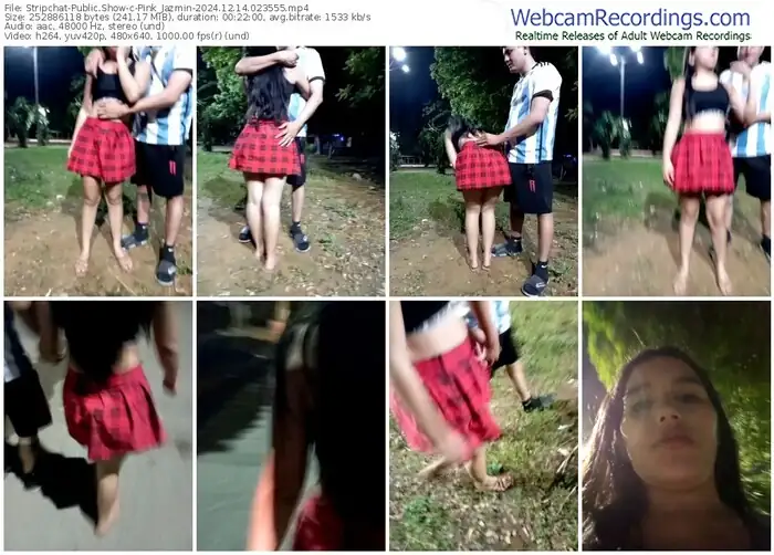 stripchat-pink_jazmin-12-14-2024-02-35-55