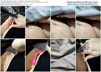 stripchat-silver1977-12-14-2024-12-41-41