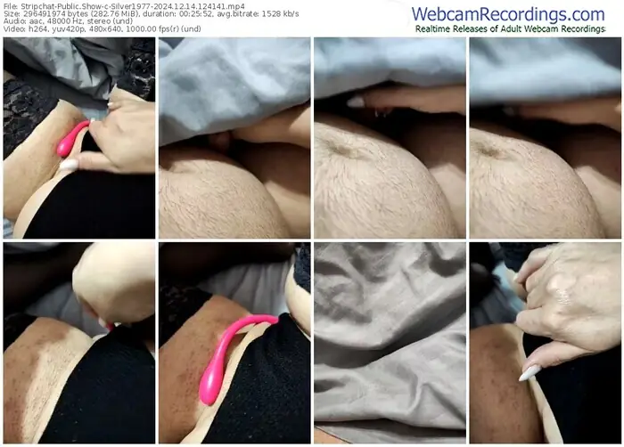 stripchat-silver1977-12-14-2024-12-41-41