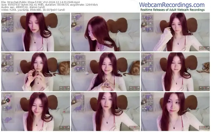 stripchat-030_vivi-12-14-2024-01-23-49