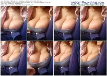 stripchat-boobshere--12-14-2024-13-13-53